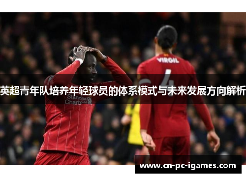 英超青年队培养年轻球员的体系模式与未来发展方向解析 英超青年队培养年轻球员的体系模式与未来发展方向解析