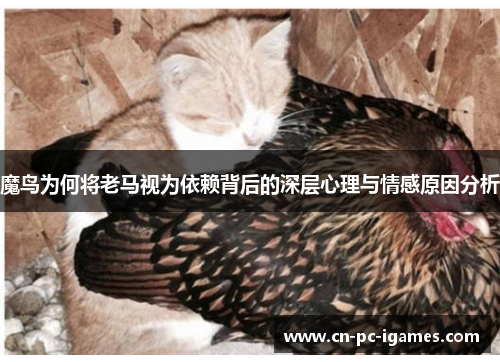 魔鸟为何将老马视为依赖背后的深层心理与情感原因分析