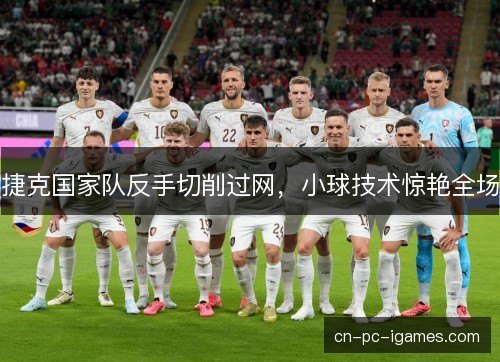 捷克国家队反手切削过网,小球技术惊艳全场 捷克国家队反手切削过网,小球技术惊艳全场